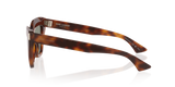 Tortoise
