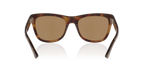 Tortoise