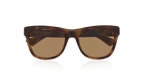 Tortoise