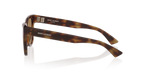 Tortoise