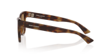 Tortoise