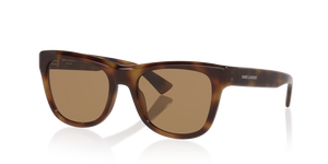 Tortoise - Brown