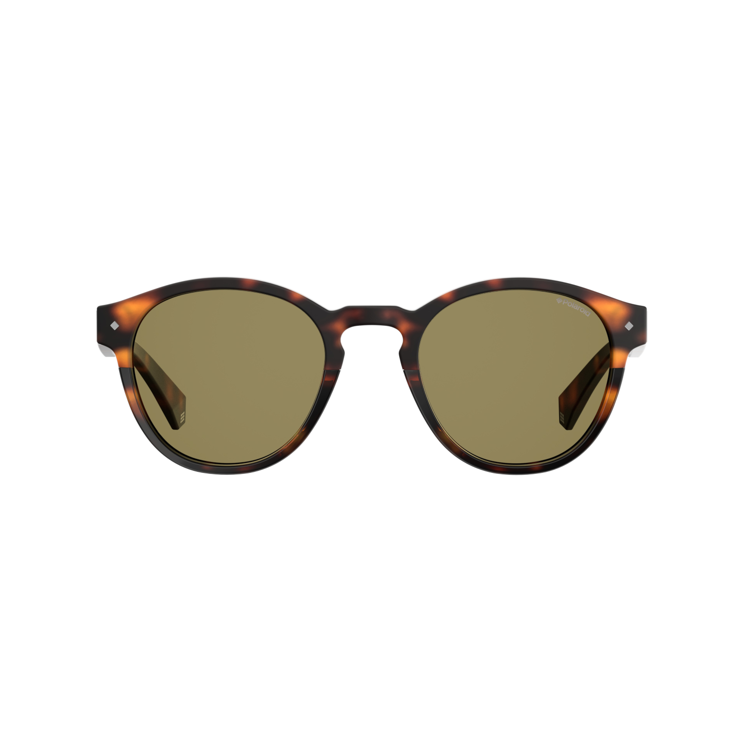 Polaroid PLD 6042/S Bronze Havana Unisex Polarized Sunglasses