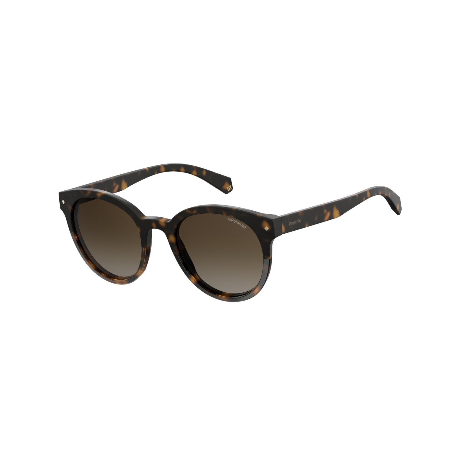 Polaroid PLD 6043/S Brown Havana Women's Polarized Sunglasses
