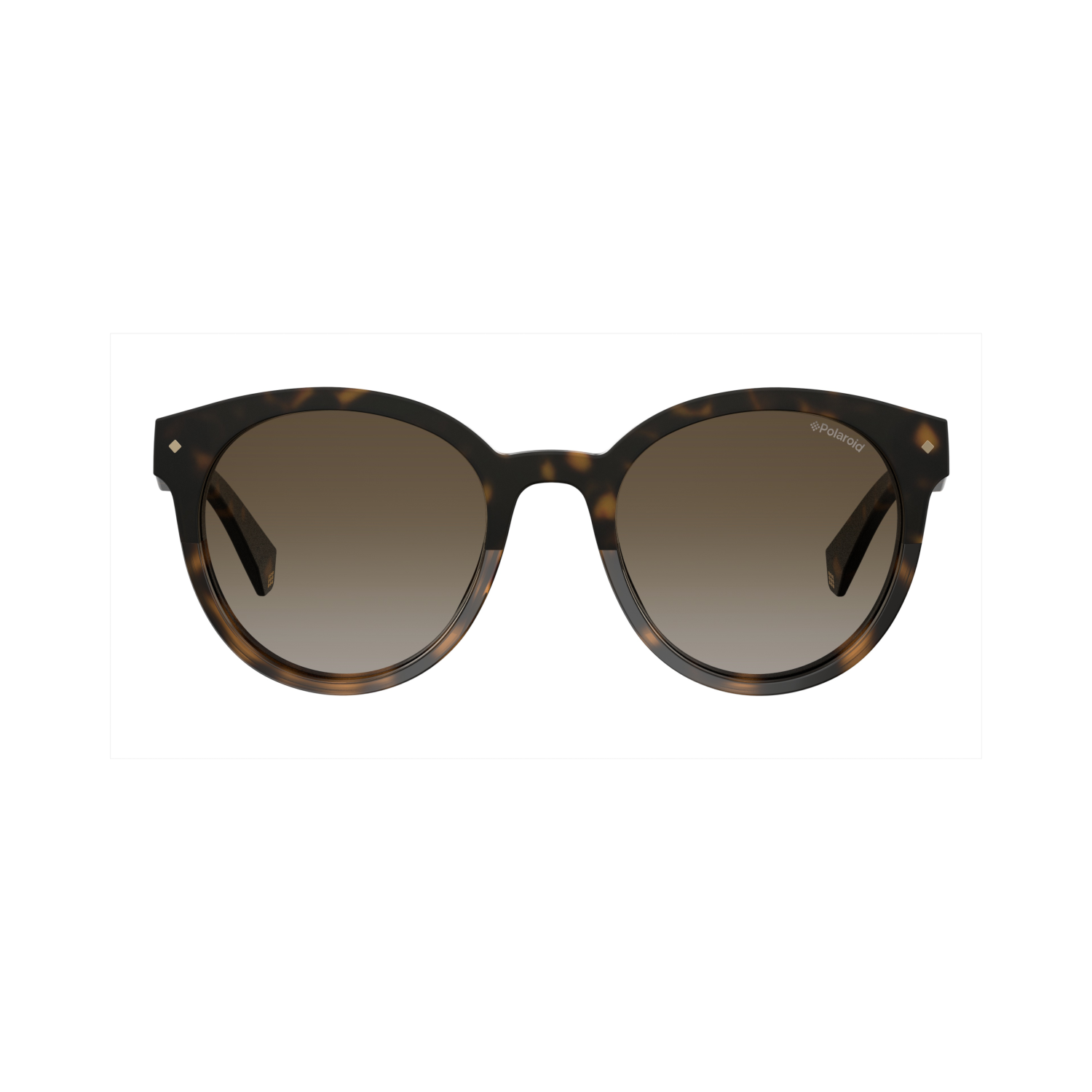 Polaroid PLD 6043/S Brown Havana Women's Polarized Sunglasses