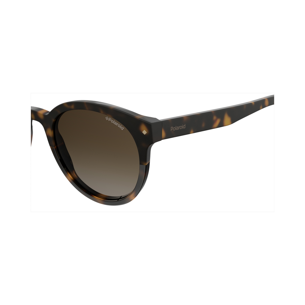Polaroid PLD 6043/S Brown Havana Women's Polarized Sunglasses