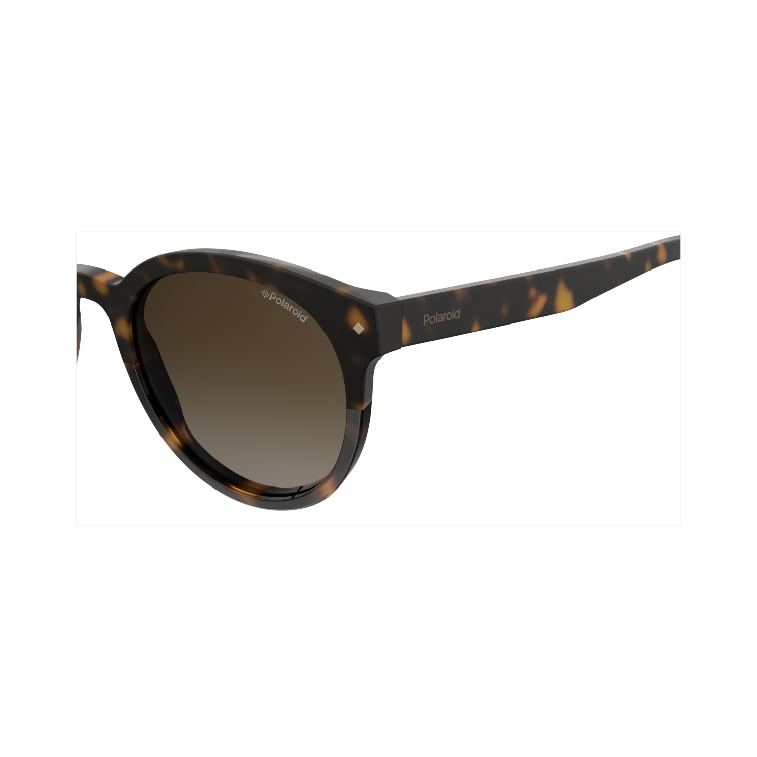 Polaroid PLD 6043/S Brown Havana Women's Polarized Sunglasses