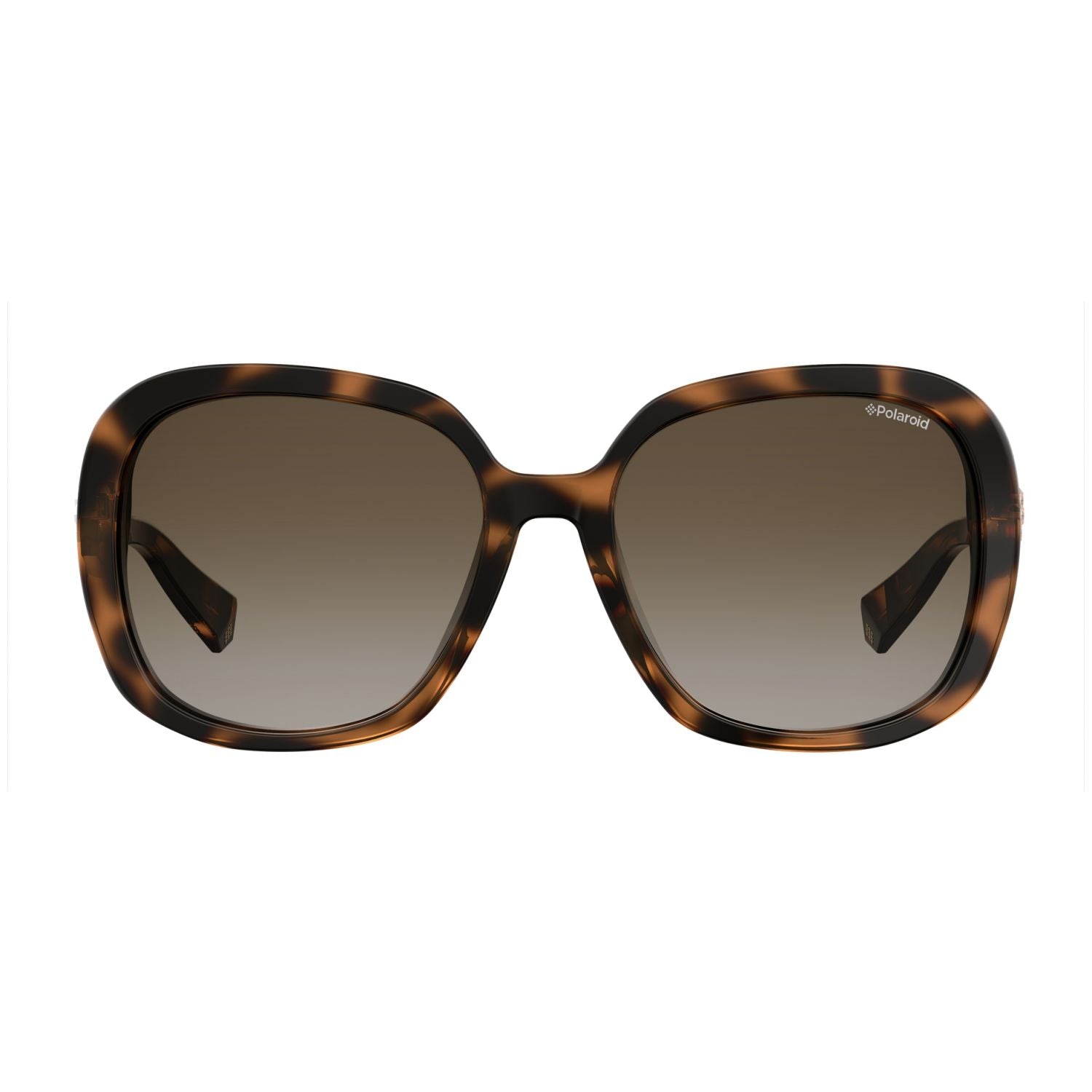 Polaroid PLD 4064/F/S/X Brown Havana Women's Polarized Sunglasses