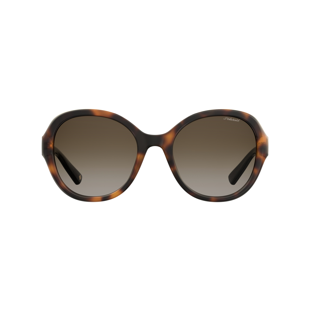Polaroid PLD 4073/S Brown Havana Women's Polarized Sunglasses