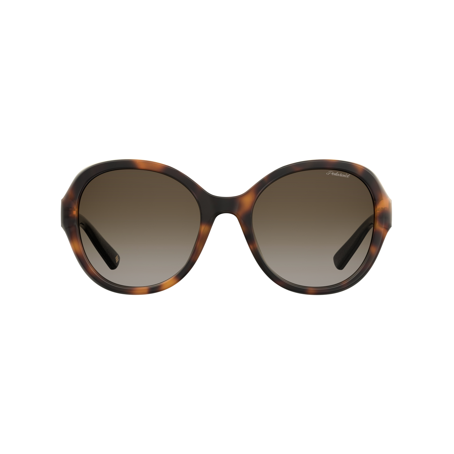 Polaroid PLD 4073/S Brown Havana Women's Polarized Sunglasses