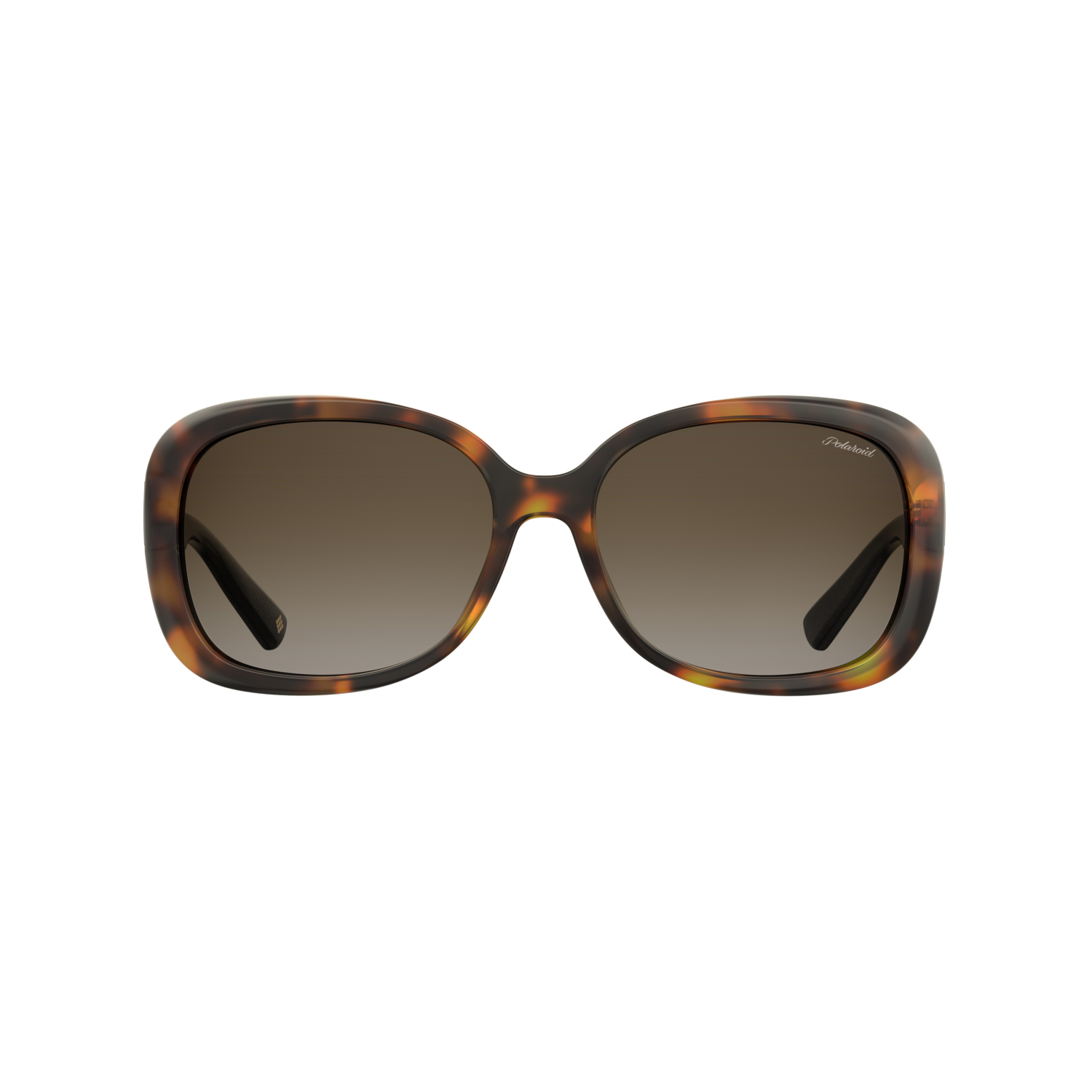 Polaroid PLD 4069/G/S/X Brown Havana Women's Sunglasses