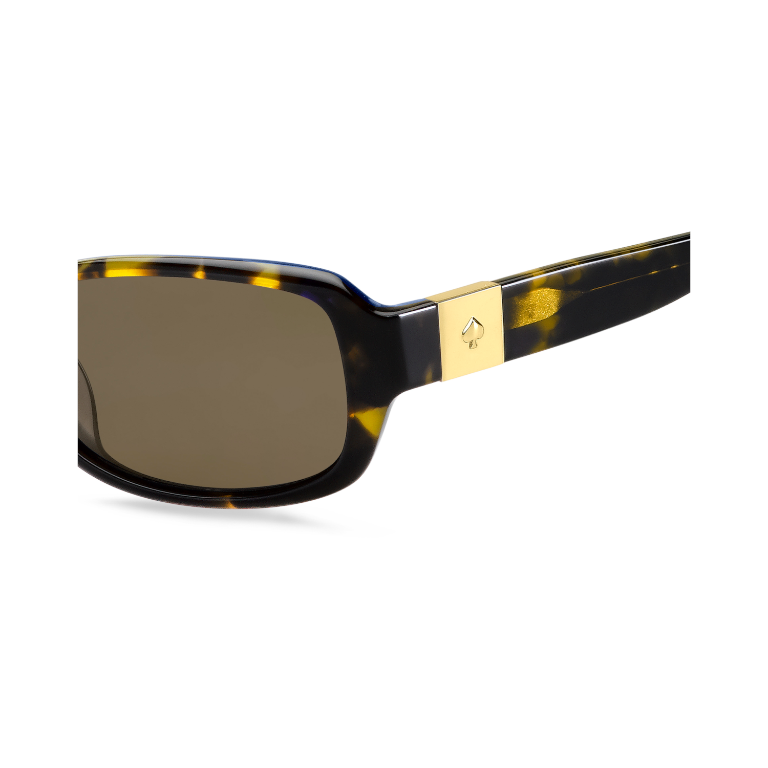 Kate Spade PAXTON2/S Bronze Havana Women's Sunglasses