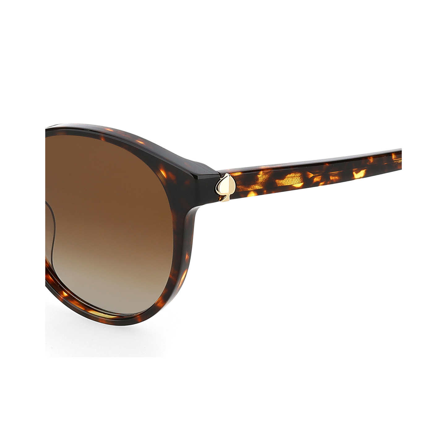 Kate Spade ELIZA/F/S Brown Havana Women's Sunglasses