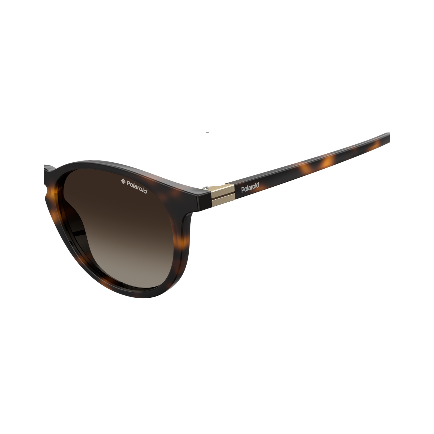 Polaroid PLD 6102/S/X Brown Havana Unisex Polarized Sunglasses