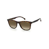 Carrera 2022T/S Brown Havana Unisex Sunglasses