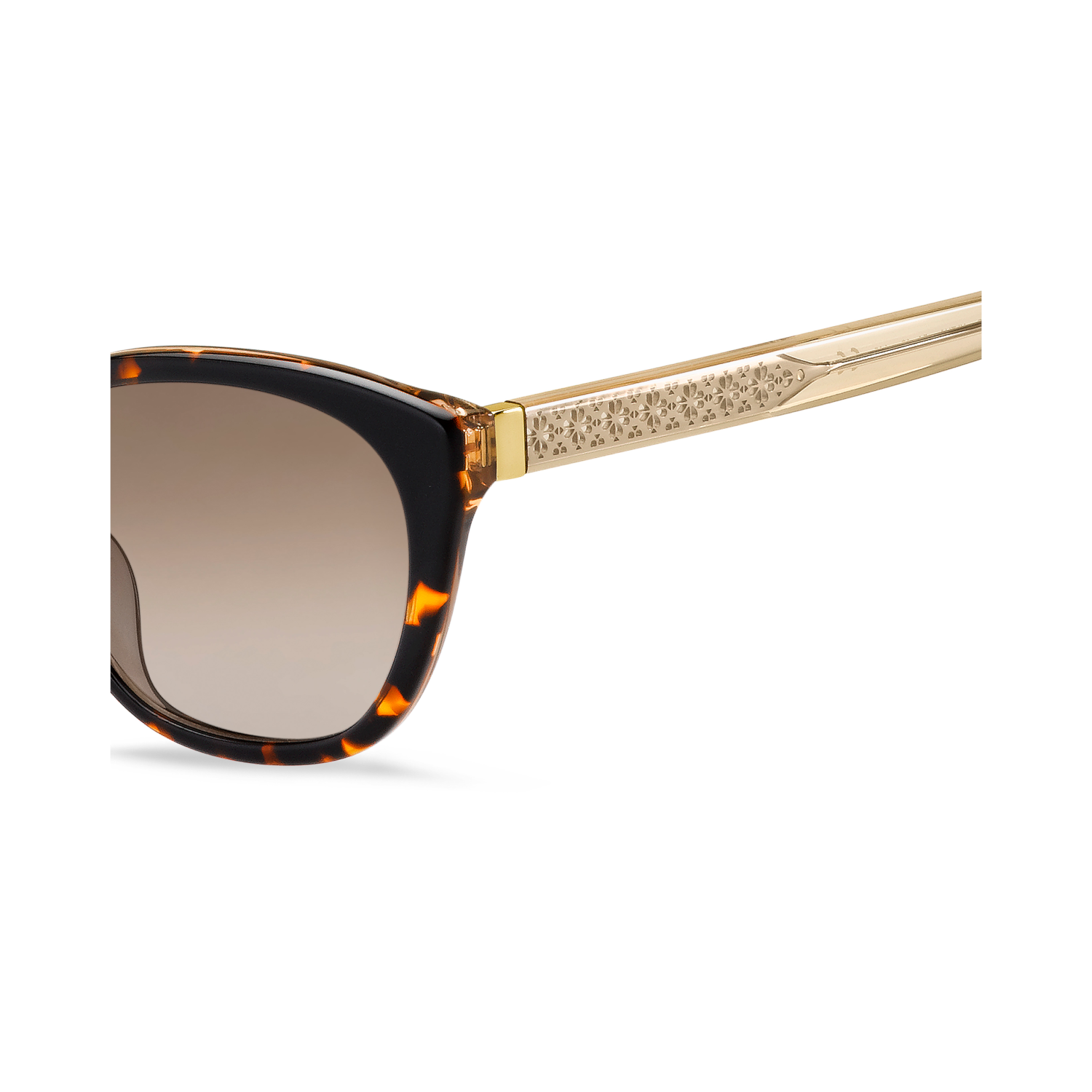 Kate Spade PHILIPPA/G/S Brown Havana Women's Sunglasses