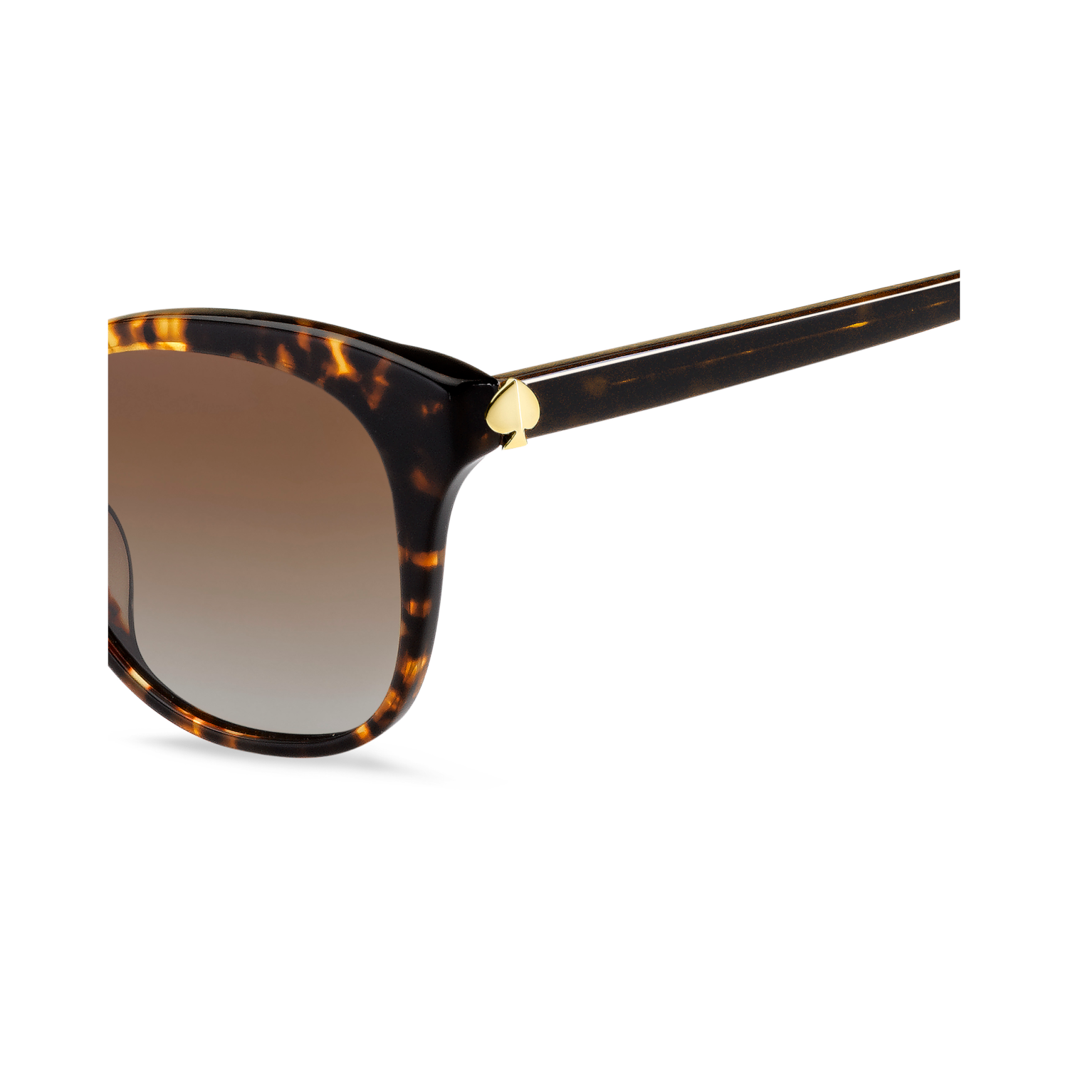 Kate Spade BIANKA/G/S Brown Havana Women's Sunglasses