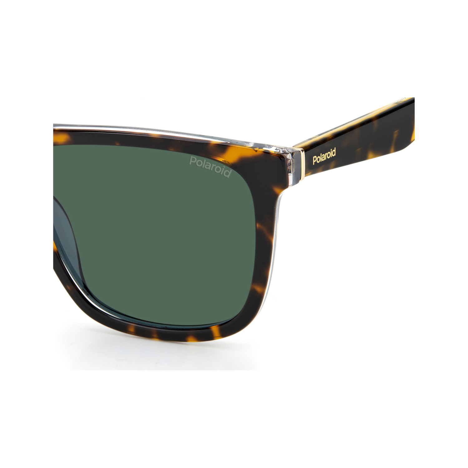 Polaroid PLD 2102/S/X Green Havana Men's Polarized Sunglasses
