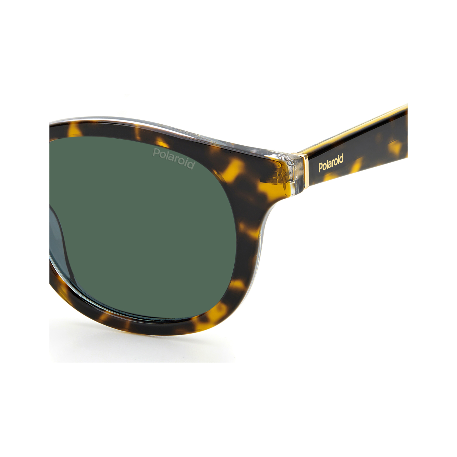 Polaroid PLD 2103/S/X Green Havana Men's Polarized Sunglasses
