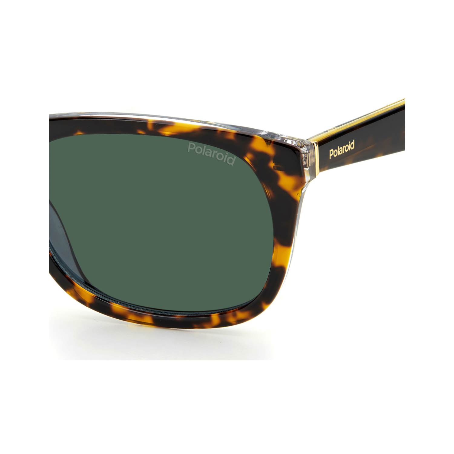 Polaroid PLD 2104/S/X Green Havana Men's Polarized Sunglasses