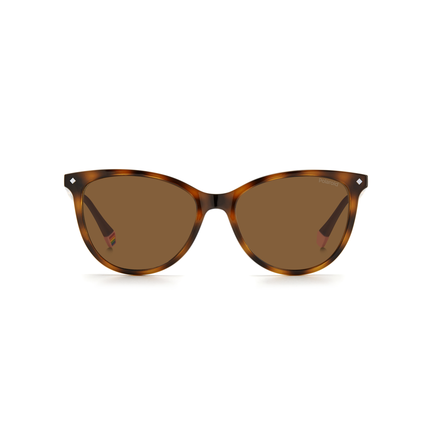 Polaroid PLD 6138/CS Bronze Havana Women's Sunglasses