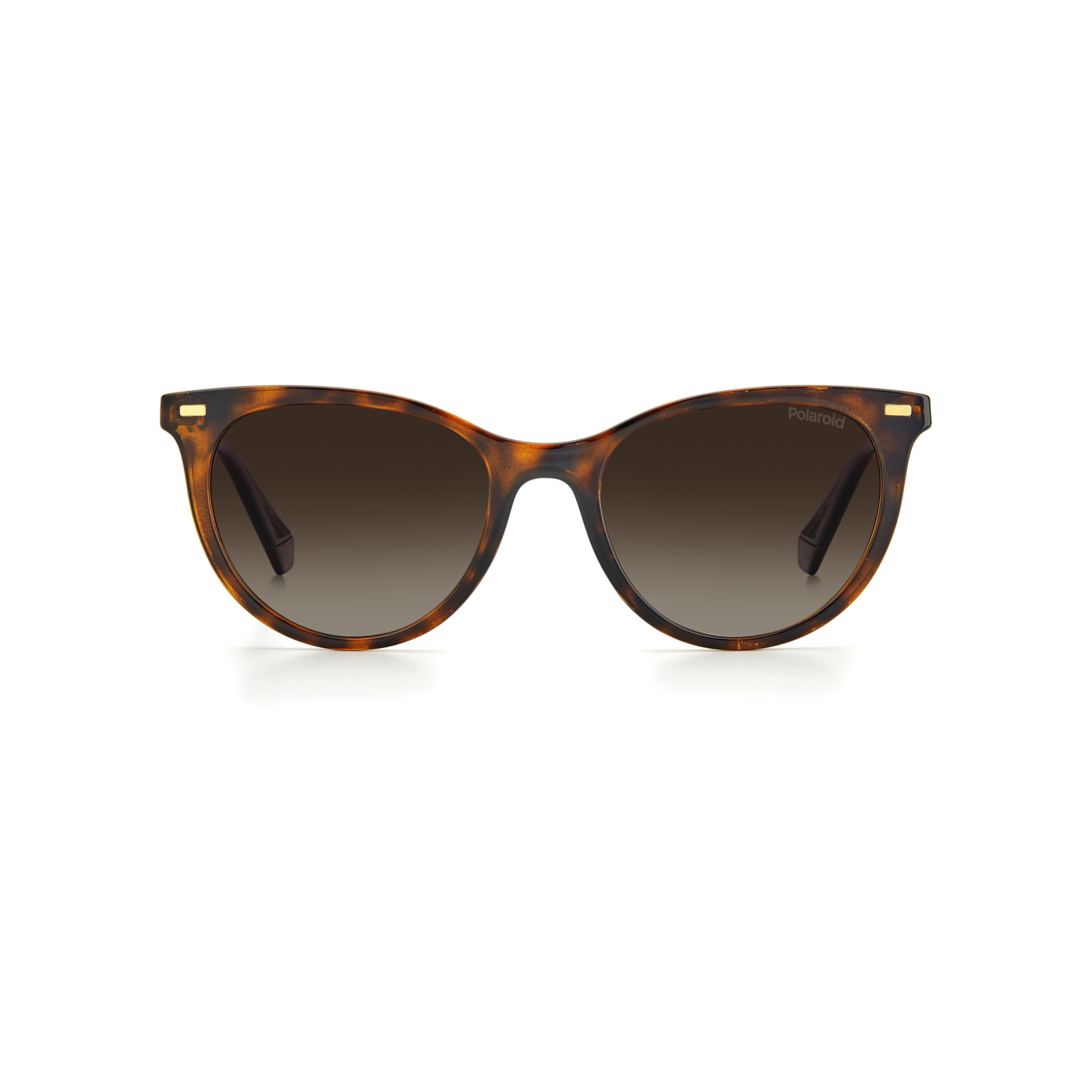 Polaroid PLD 4107/S Brown Havana Women's Polarized Sunglasses