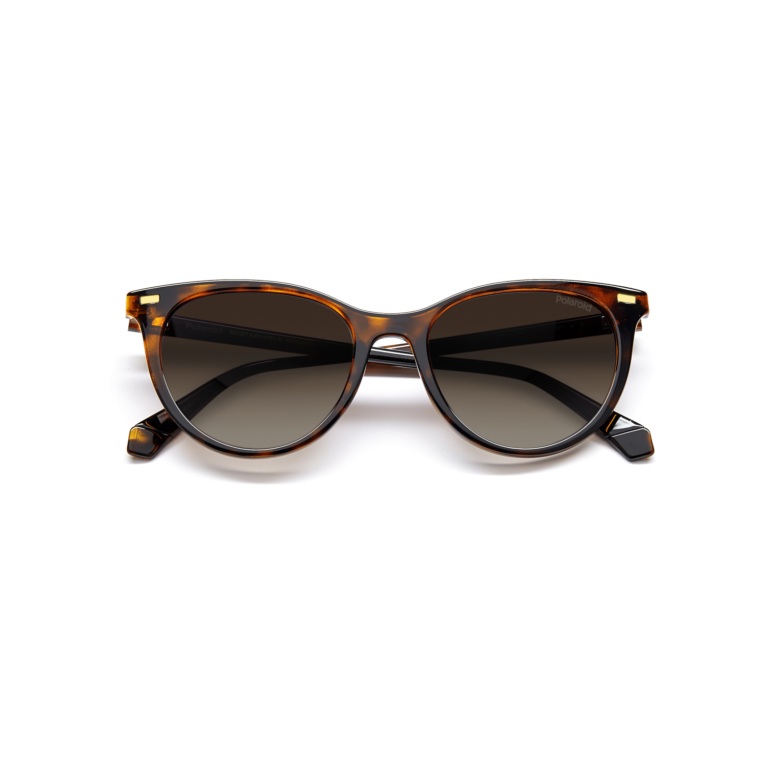Polaroid PLD 4107/S Brown Havana Women's Polarized Sunglasses