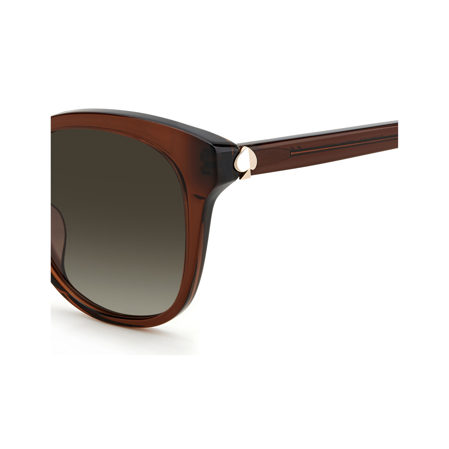 Kate Spade BIANKA/G/S Brown Women's Sunglasses