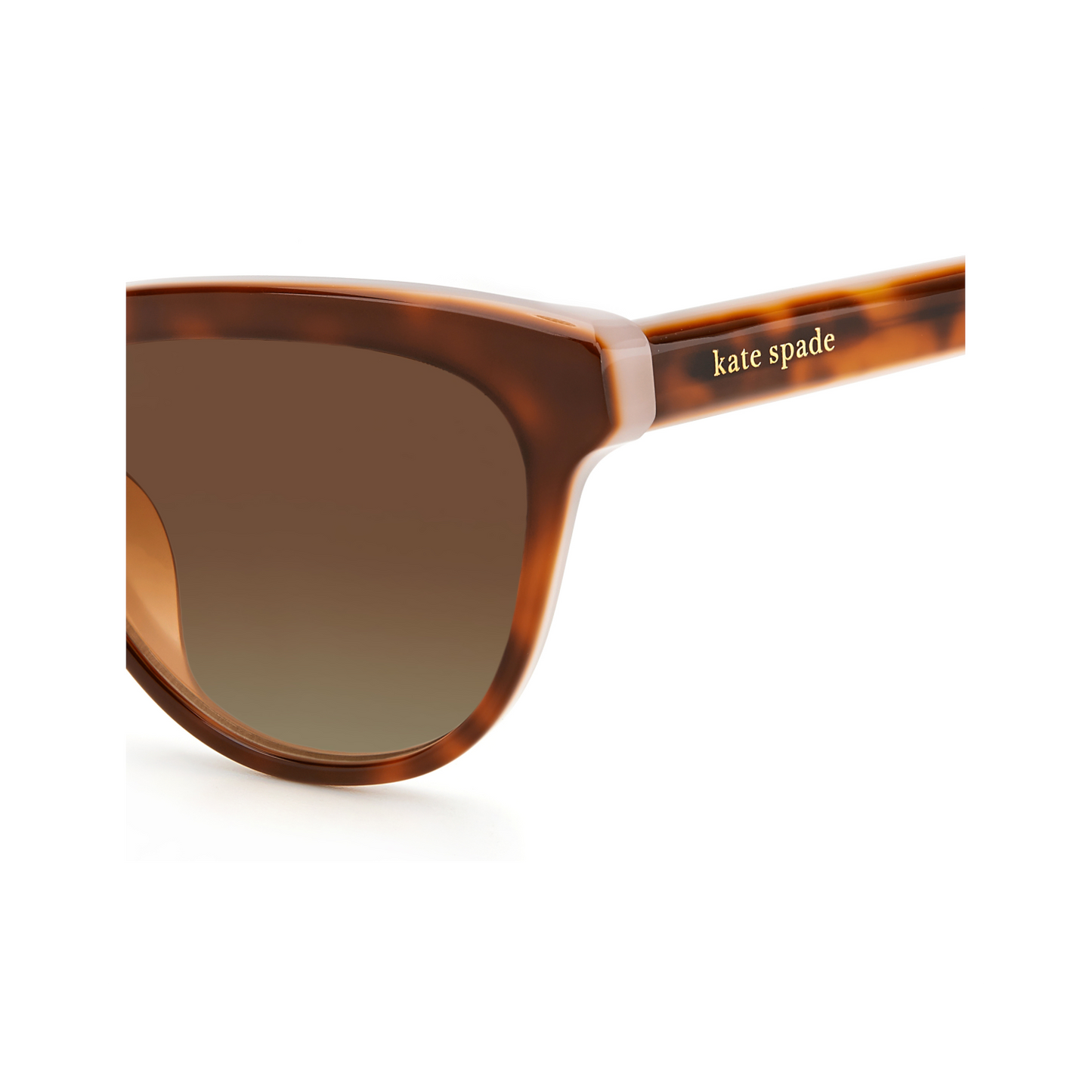 Kate Spade CAYENNE/S Brown Havana Women's Sunglasses