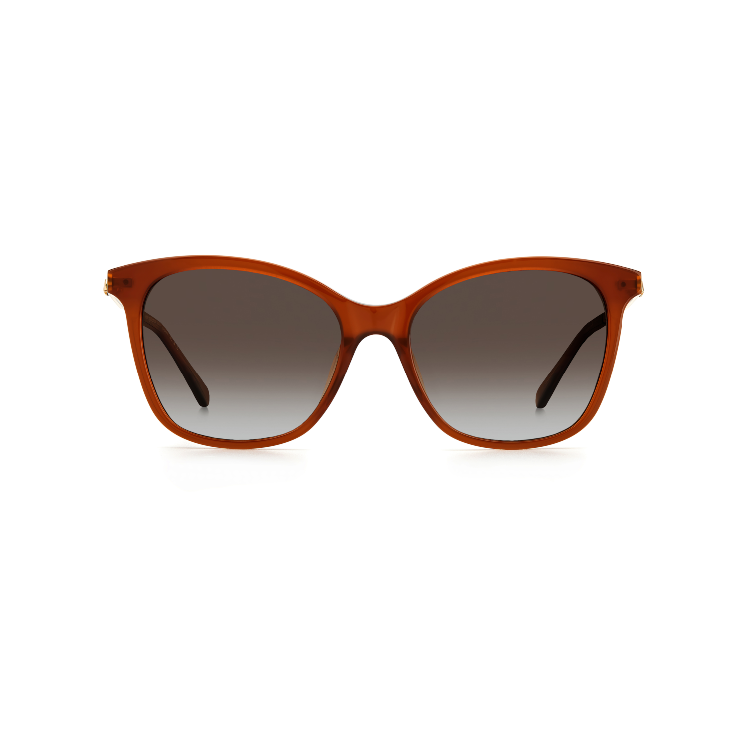 Kate Spade DALILA/S Brown Women's Sunglasses