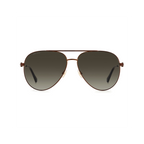 Jimmy Choo OLLY/S Brown Women's Sunglasses
