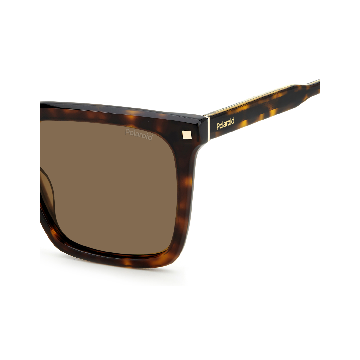 Polaroid PLD 4115/S/X Bronze Havana Women's Polarized Sunglasses