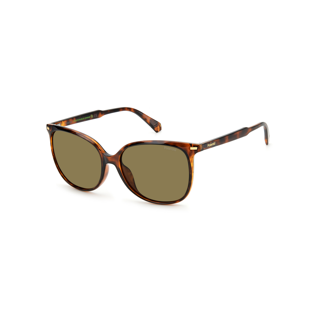 Polaroid PLD 4125/G/S Bronze Havana Women's Polarized Sunglasses