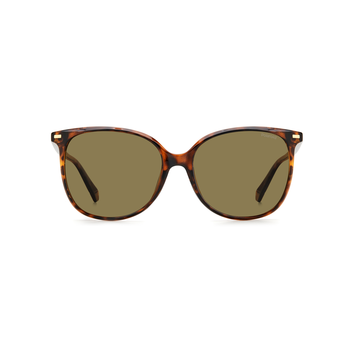 Polaroid PLD 4125/G/S Bronze Havana Women's Polarized Sunglasses