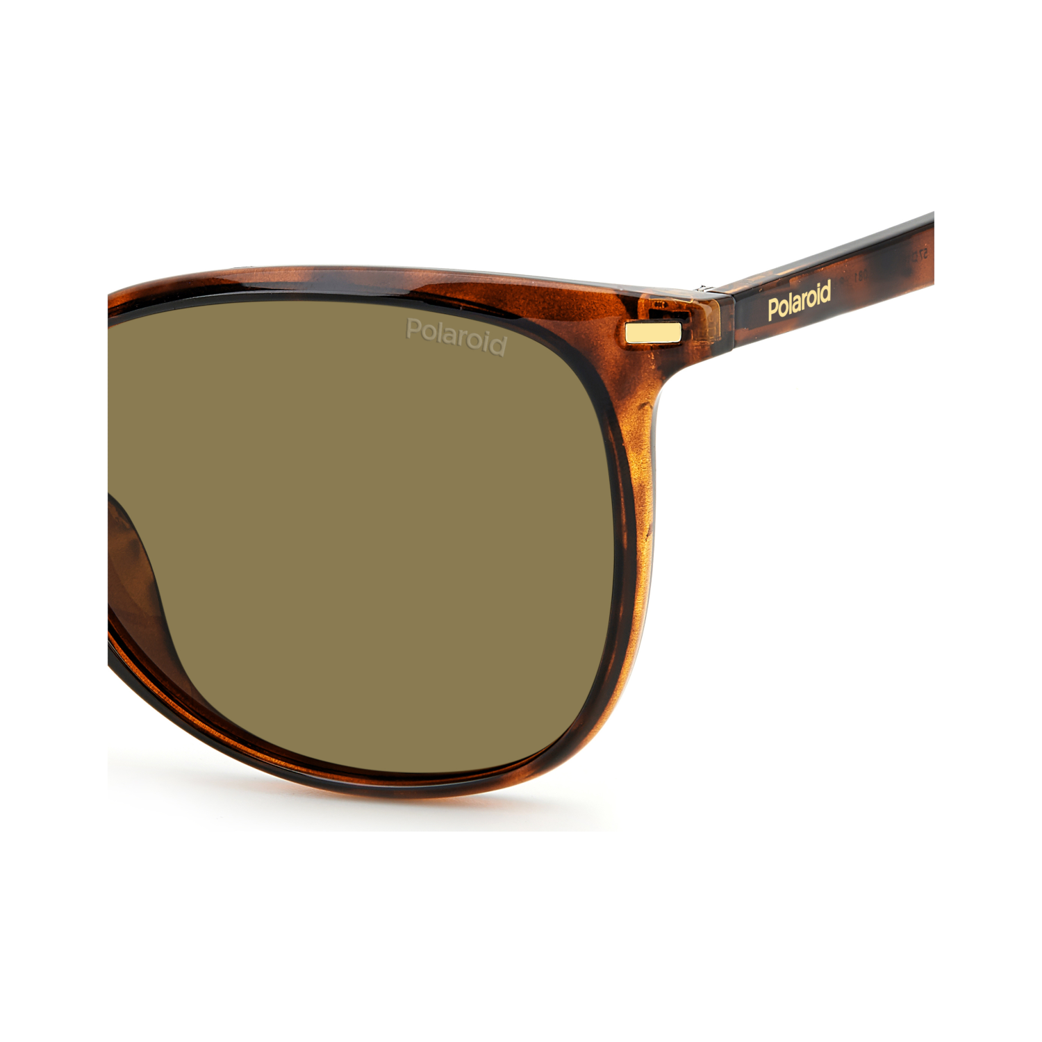 Polaroid PLD 4125/G/S Bronze Havana Women's Polarized Sunglasses