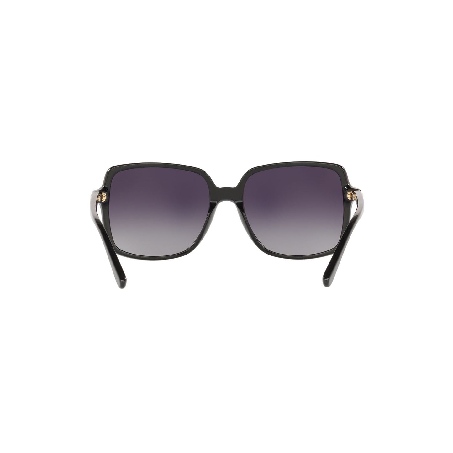 Michael Kors ISLE OF PALMS MK2098U Black Women's Polarized Sunglasses