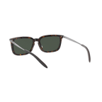 Michael Kors COLBURN MK2134 Havana Men's Sunglasses