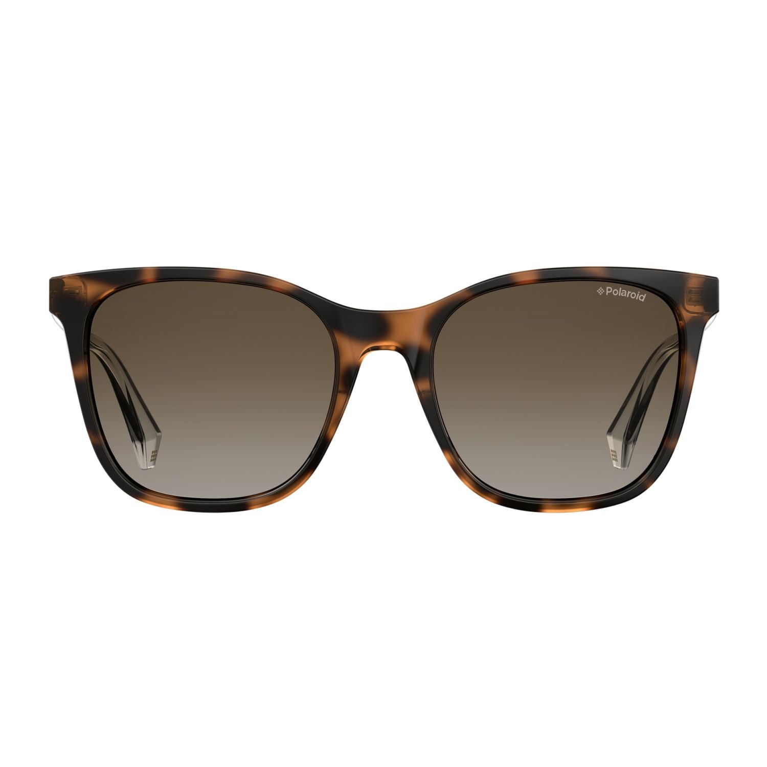 Polaroid PLD 4059/S Brown Havana Women's Polarized Sunglasses