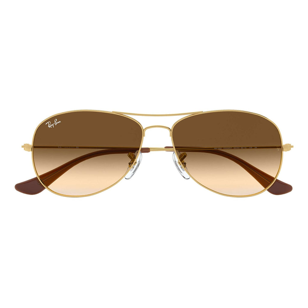 Ray Ban COCKPIT RB3362 Brown Gold Men's Sunglasses