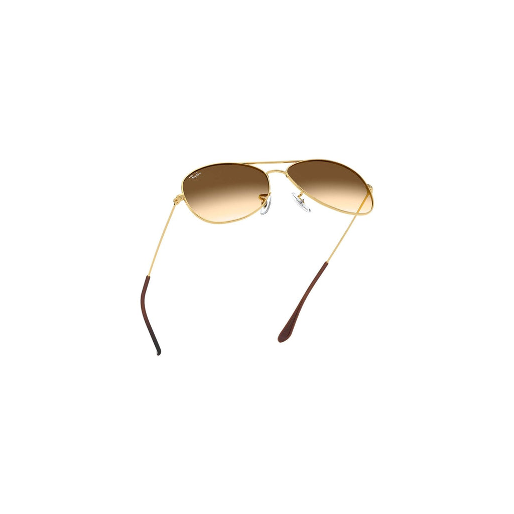 Ray Ban COCKPIT RB3362 Brown Gold Men's Sunglasses