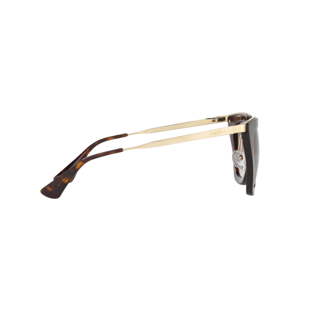 Prada PR 53SS PR 53SS Havana Women's Sunglasses