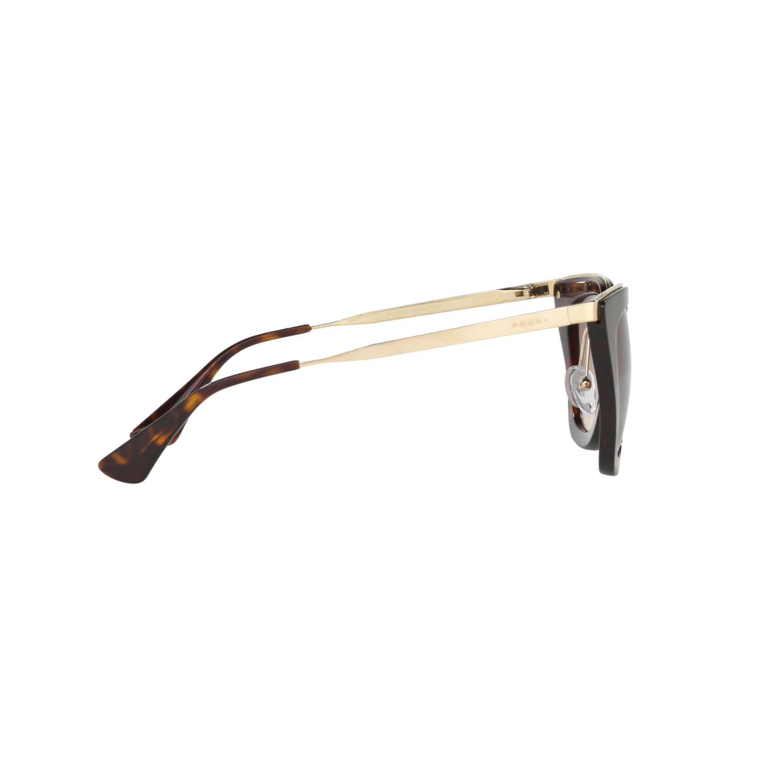 Prada PR 53SS PR 53SS Havana Women's Sunglasses