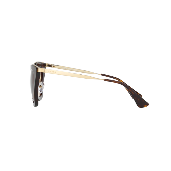 Prada PR 53SS PR 53SS Havana Women's Sunglasses