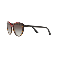 Prada PR 02VSF PR 02VSF Havana Women's Sunglasses