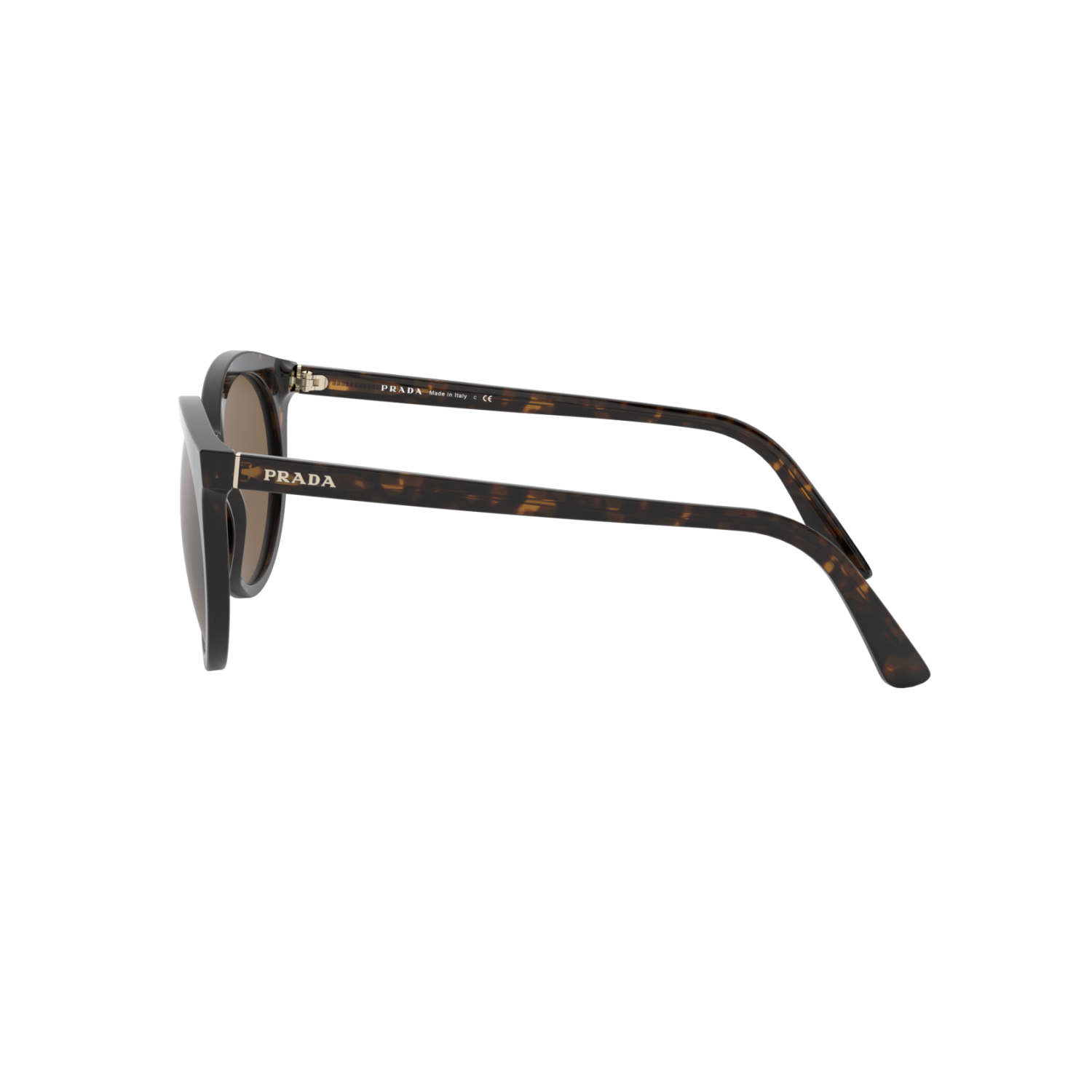 Prada PR 02XSF PR 02XSF Havana Women's Sunglasses