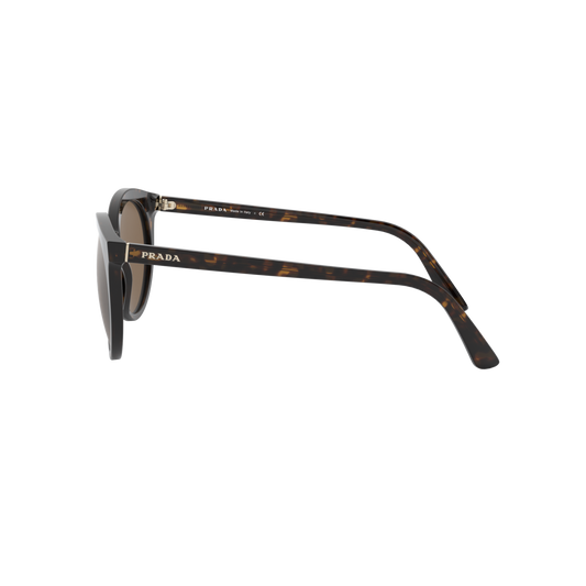 Prada PR 02XSF PR 02XSF Havana Women's Sunglasses