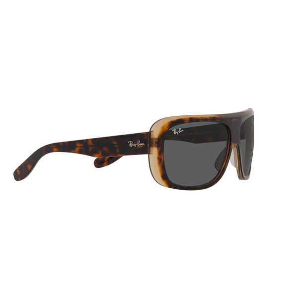 Ray Ban BLAIR RB2196 Havana Unisex Sunglasses