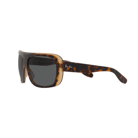 Ray Ban BLAIR RB2196 Havana Unisex Sunglasses