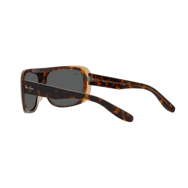 Ray Ban BLAIR RB2196 Havana Unisex Sunglasses