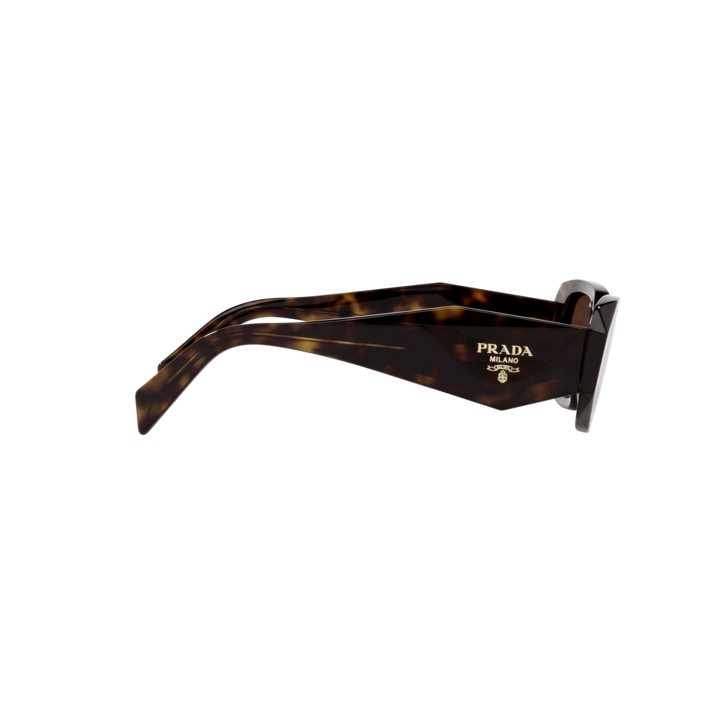 Prada PR 17WSF PR 17WSF Havana Women's Sunglasses